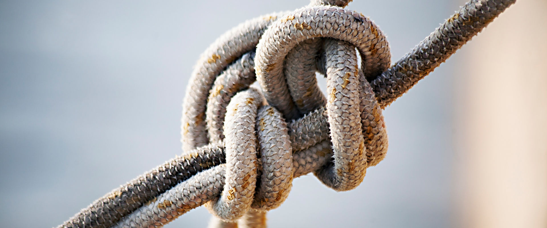 Mitgliedschaften von Lampe & Schwartze Marine Underwriting Seemannsknoten | Lampe & Schwartze Marine Underwriting ist in verschiedenen Organisationen vernetzt.